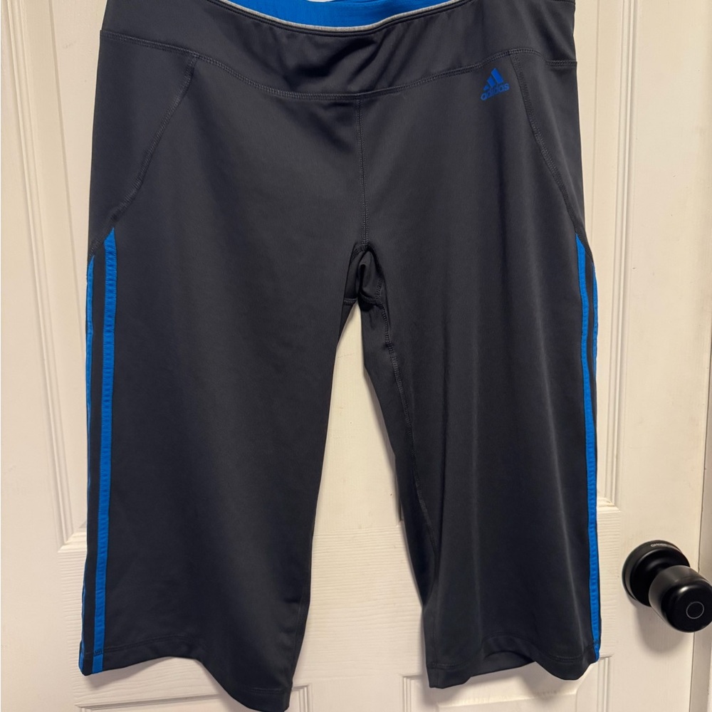 Adidas Black and Blue Climalite Shorts